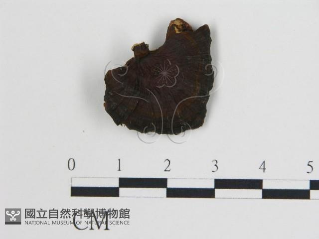 登錄號:F0006734藏品圖，第3張