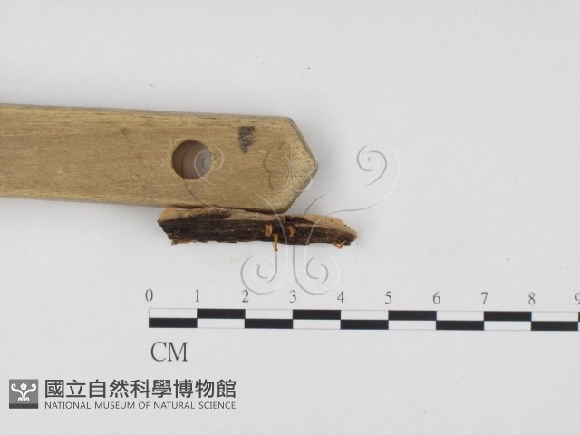 登錄號:F0024134藏品圖，第3張