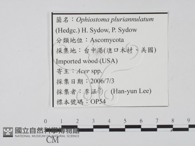 登錄號:F0022134藏品圖，第3張