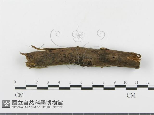 登錄號:F0001034藏品圖，第3張