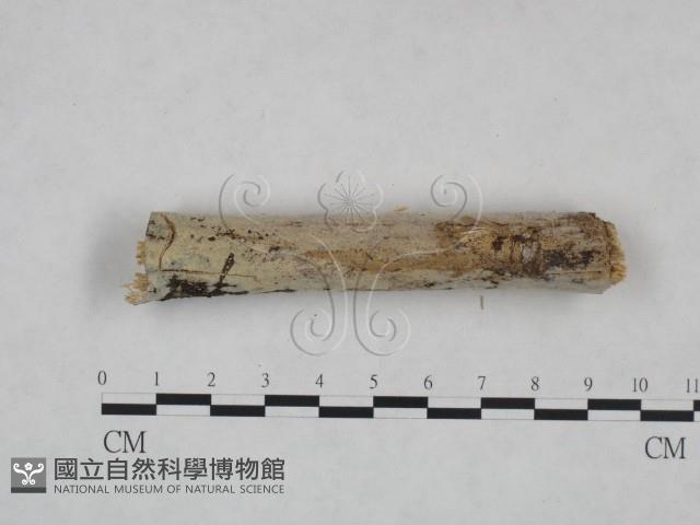 登錄號:F0025034藏品圖，第3張