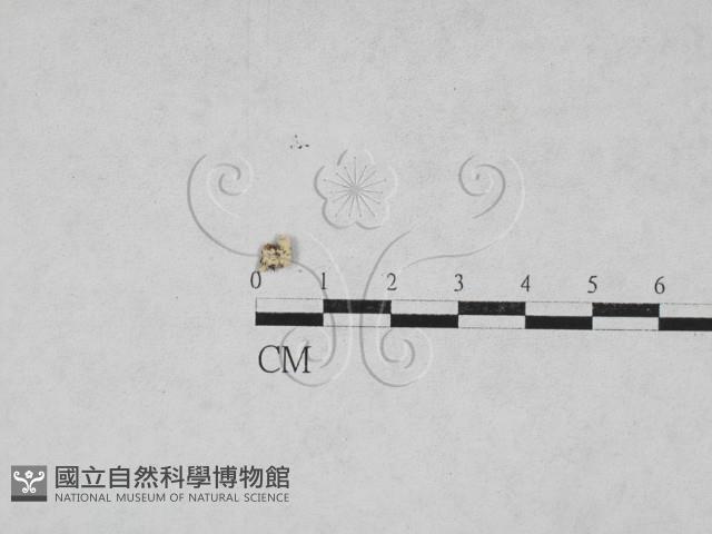 登錄號:F0027874藏品圖，第1張