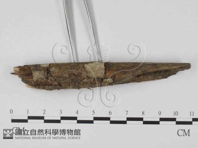 登錄號:F0001974藏品圖，第3張