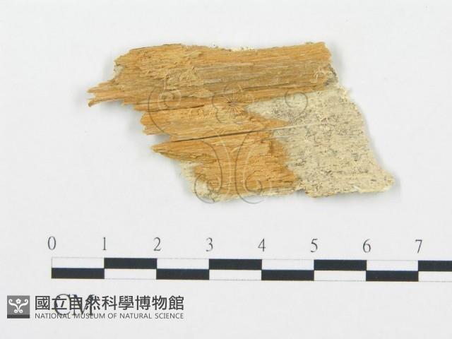 登錄號:F0005974藏品圖，第3張