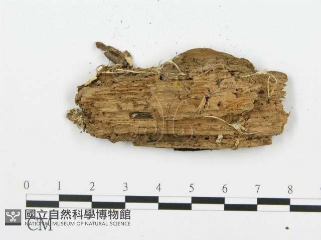 登錄號:F0006674藏品圖，第3張