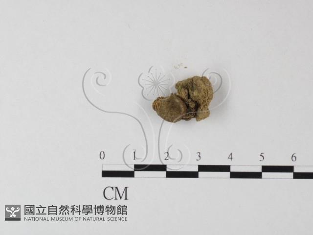 登錄號:F0002674藏品圖，第3張