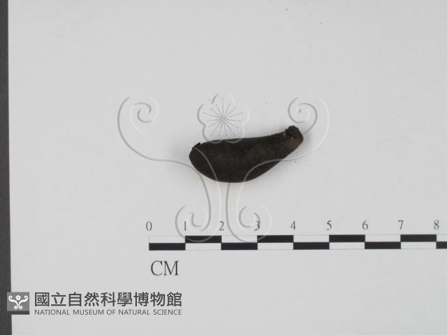 登錄號:F0007674藏品圖，第3張