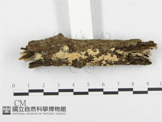 登錄號:F0003674藏品圖，第1張