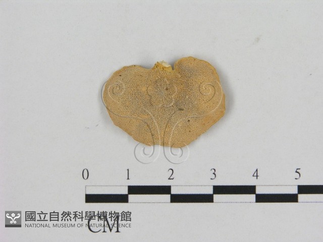 登錄號:F0006474藏品圖，第3張