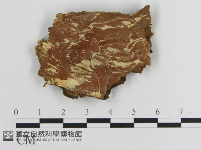 登錄號:F0009474藏品圖，第3張