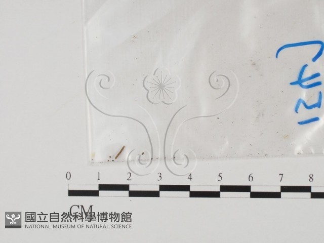 登錄號:F0011774藏品圖，第3張