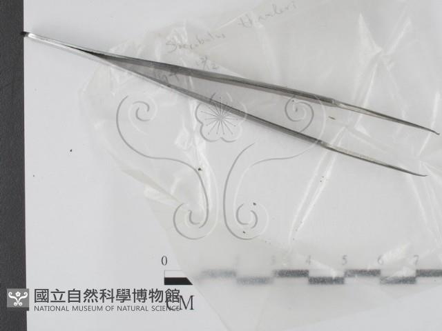 登錄號:F0002774藏品圖，第3張