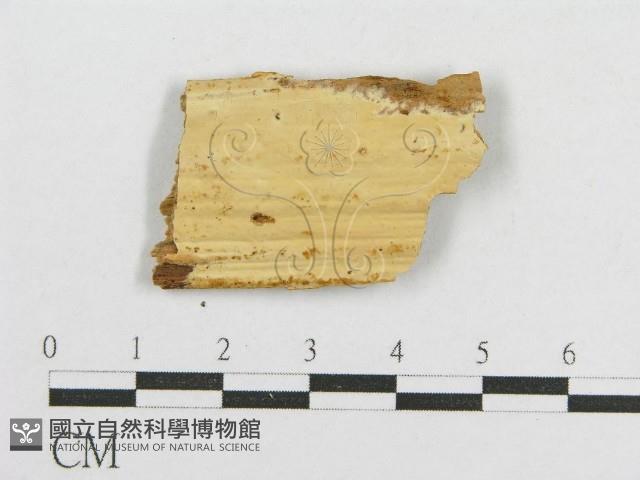 登錄號:F0015774藏品圖，第1張