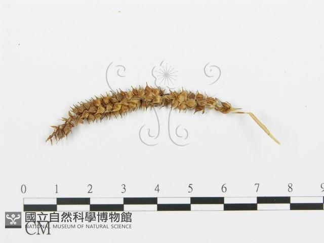 登錄號:F0004574藏品圖，第3張