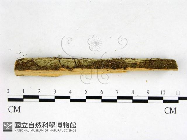 登錄號:F0022574藏品圖，第3張