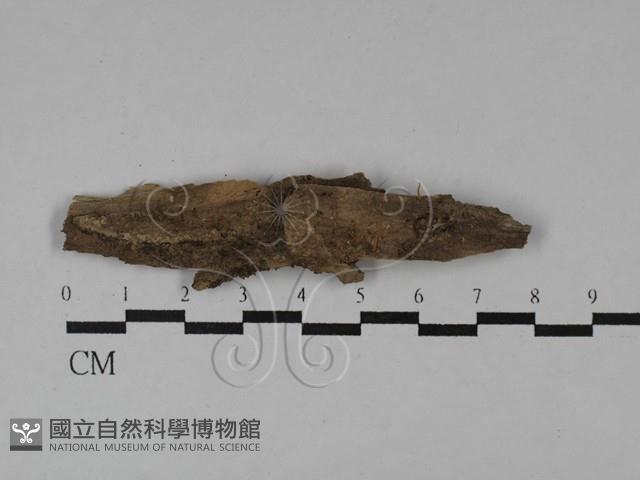 登錄號:F0029574藏品圖，第3張