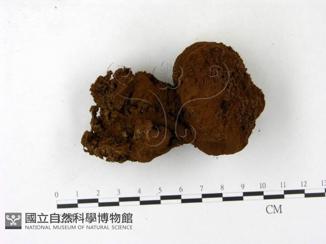 登錄號:F0023174藏品圖，第3張