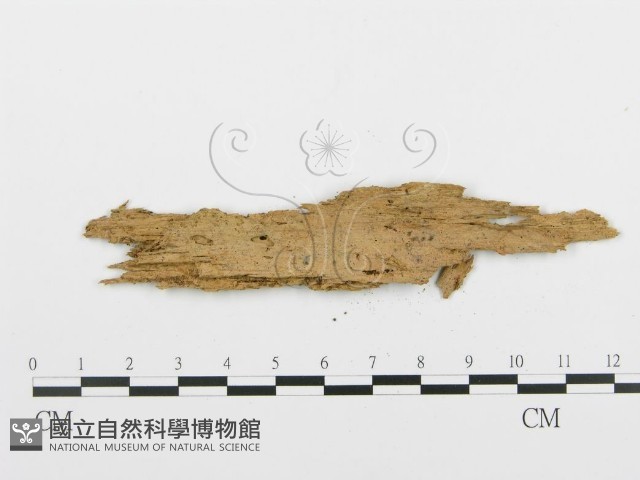 登錄號:F0003174藏品圖，第3張