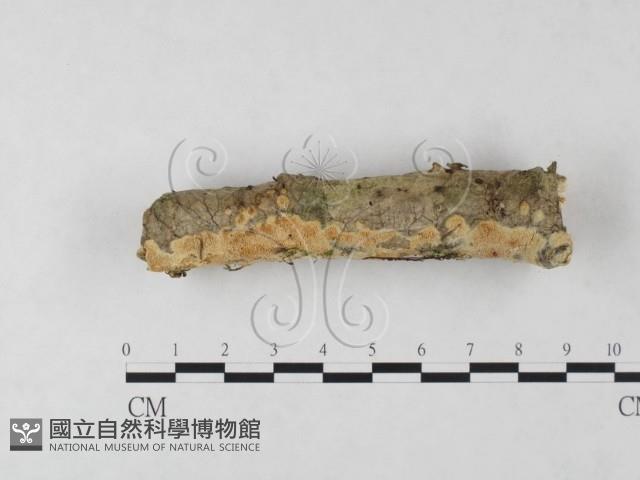 登錄號:F0022074藏品圖，第3張