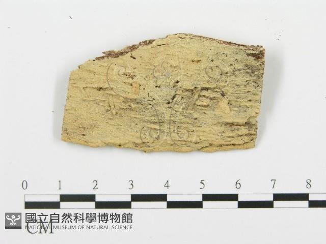 登錄號:F0006374藏品圖，第3張