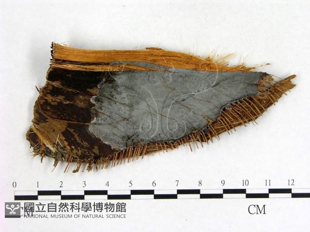 登錄號:F0021374藏品圖，第3張
