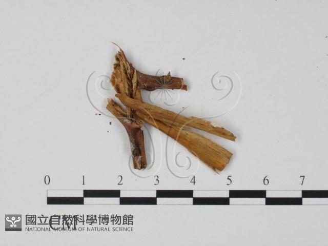 登錄號:F0005374藏品圖，第3張