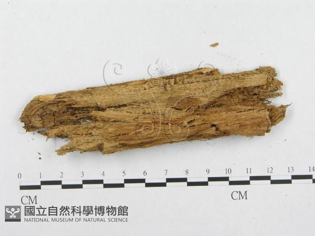 登錄號:F0008262藏品圖，第3張