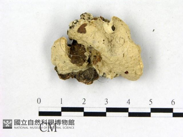 登錄號:F0006862藏品圖，第3張