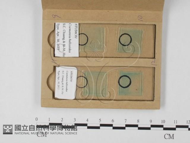 登錄號:F0025862藏品圖，第3張