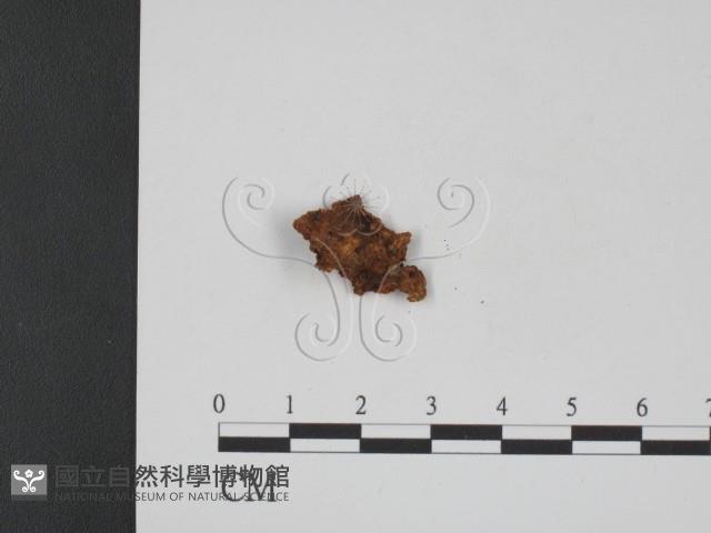 登錄號:F0008962藏品圖，第3張