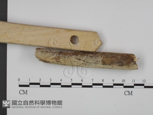 館號:F0017962藏品圖，第3張