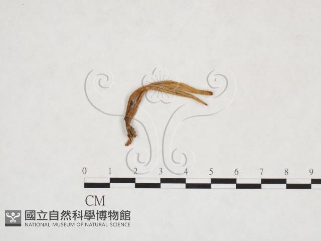登錄號:F0025962藏品圖，第3張