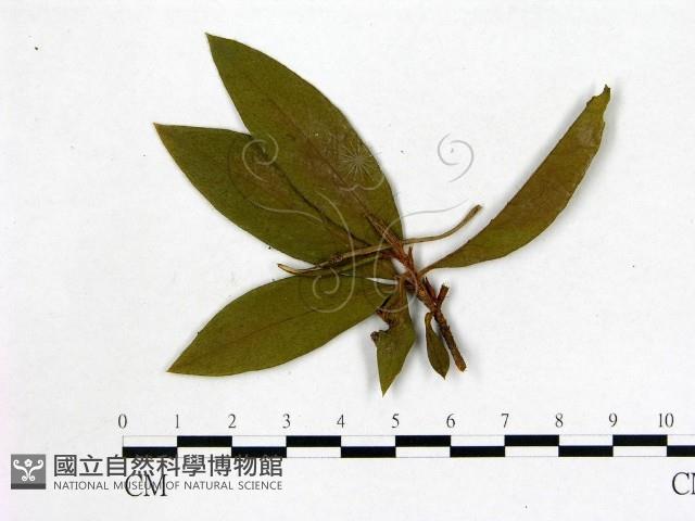 登錄號:F0020662藏品圖，第3張