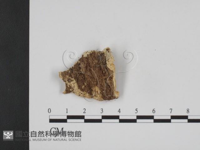 登錄號:F0006662藏品圖，第3張