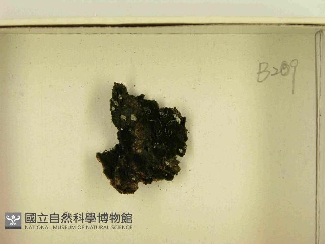 登錄號:F0021462藏品圖，第3張