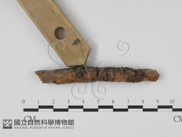 登錄號:F0011462藏品圖，第3張