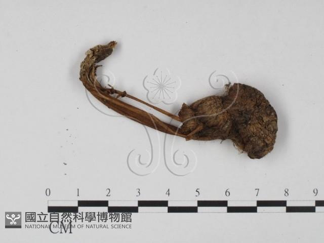 登錄號:F0020762藏品圖，第3張
