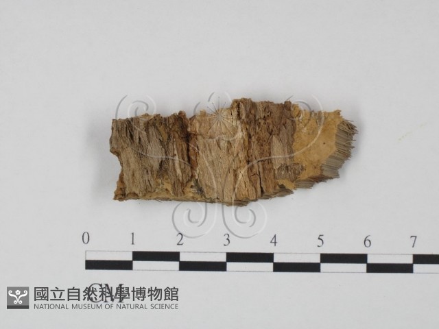登錄號:F0006762藏品圖，第3張