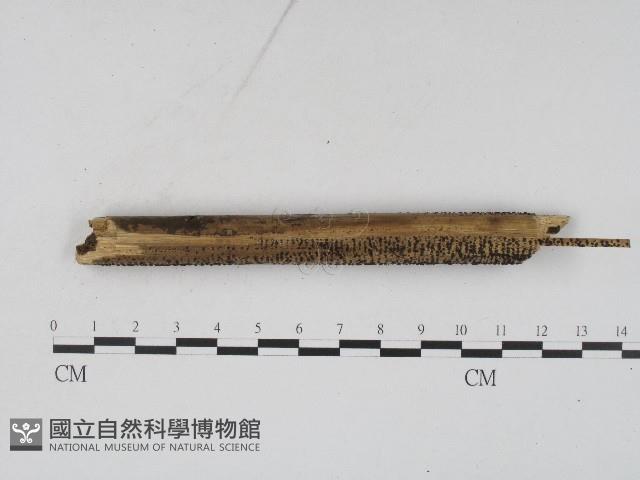 登錄號:F0004562藏品圖，第3張