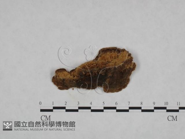 登錄號:F0015562藏品圖，第3張