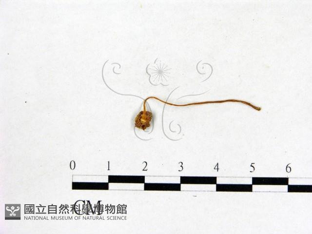 登錄號:F0003562藏品圖，第3張