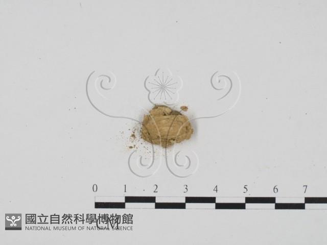 登錄號:F0004062藏品圖，第3張