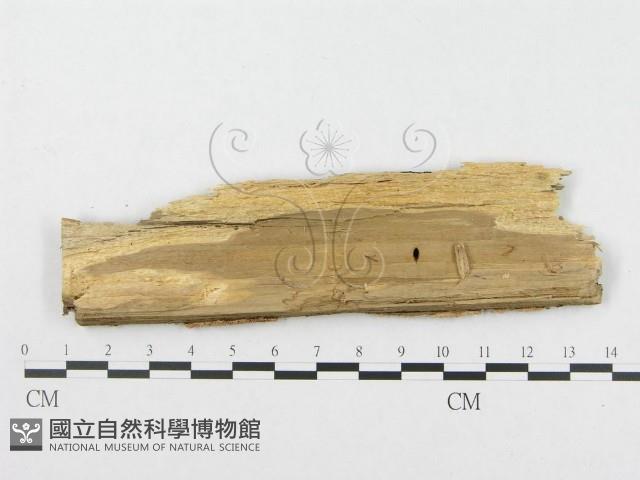 登錄號:F0007062藏品圖，第3張