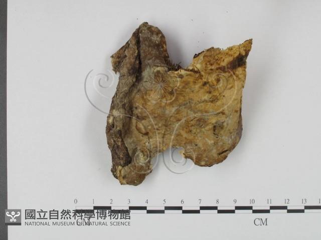 登錄號:F0002362藏品圖，第3張