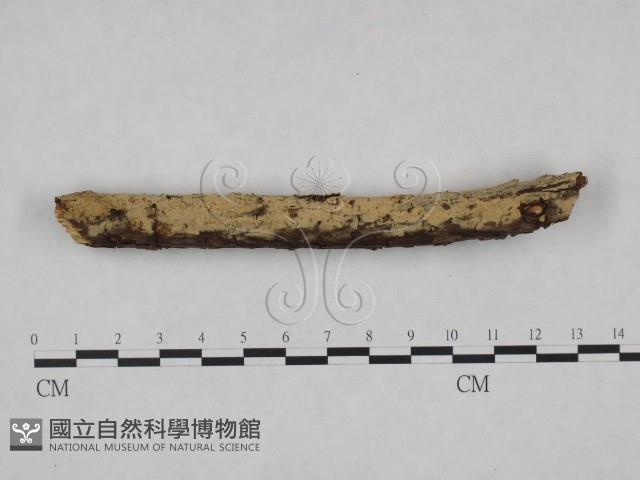 登錄號:F0000222藏品圖，第3張
