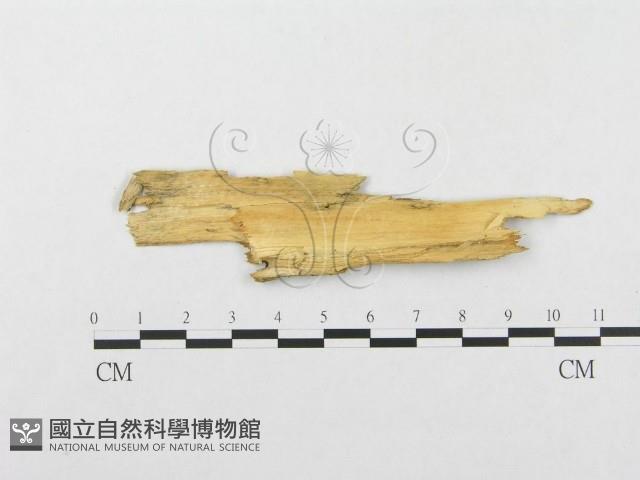 登錄號:F0003222藏品圖，第3張