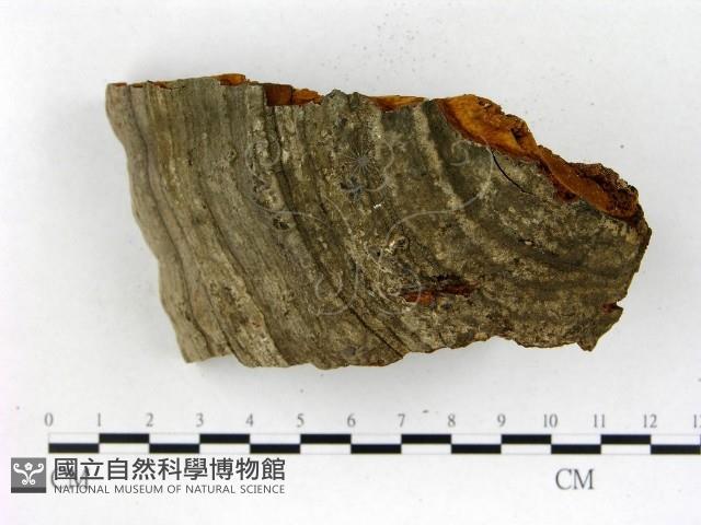 登錄號:F0018822藏品圖，第3張