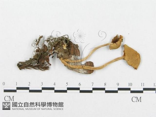 登錄號:F0004922藏品圖，第3張