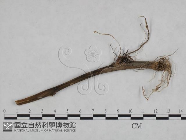 登錄號:F0023922藏品圖，第3張