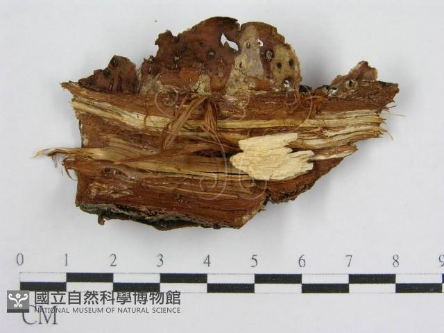 登錄號:F0004622藏品圖，第3張